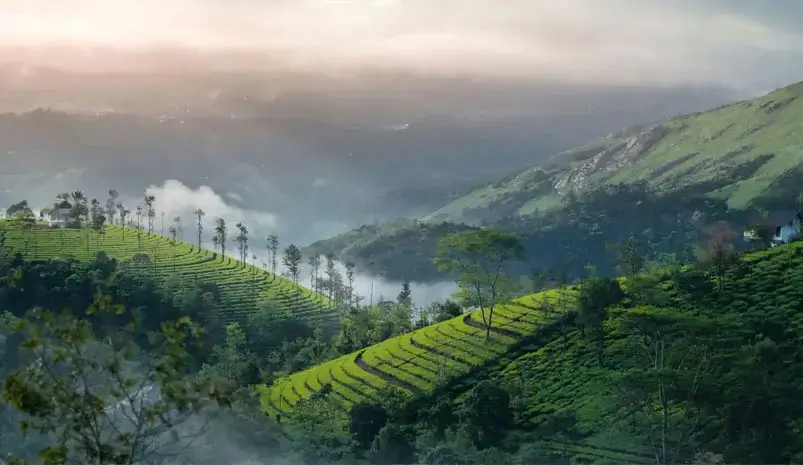 munnar